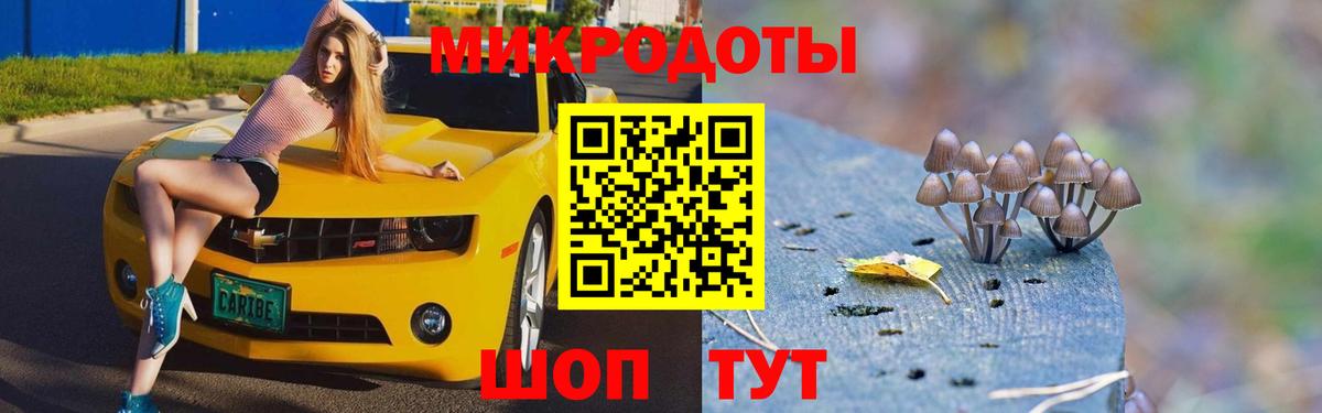 где купить наркоту  Галлюциногенные грибы Psilocybe  Вход с VPN  Пенза 