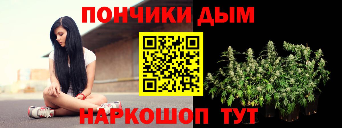 Бошки марихуана VHQ  Бошки Шишки тримм  Вход с VPN  Конопля Bruce Banner  Пенза 